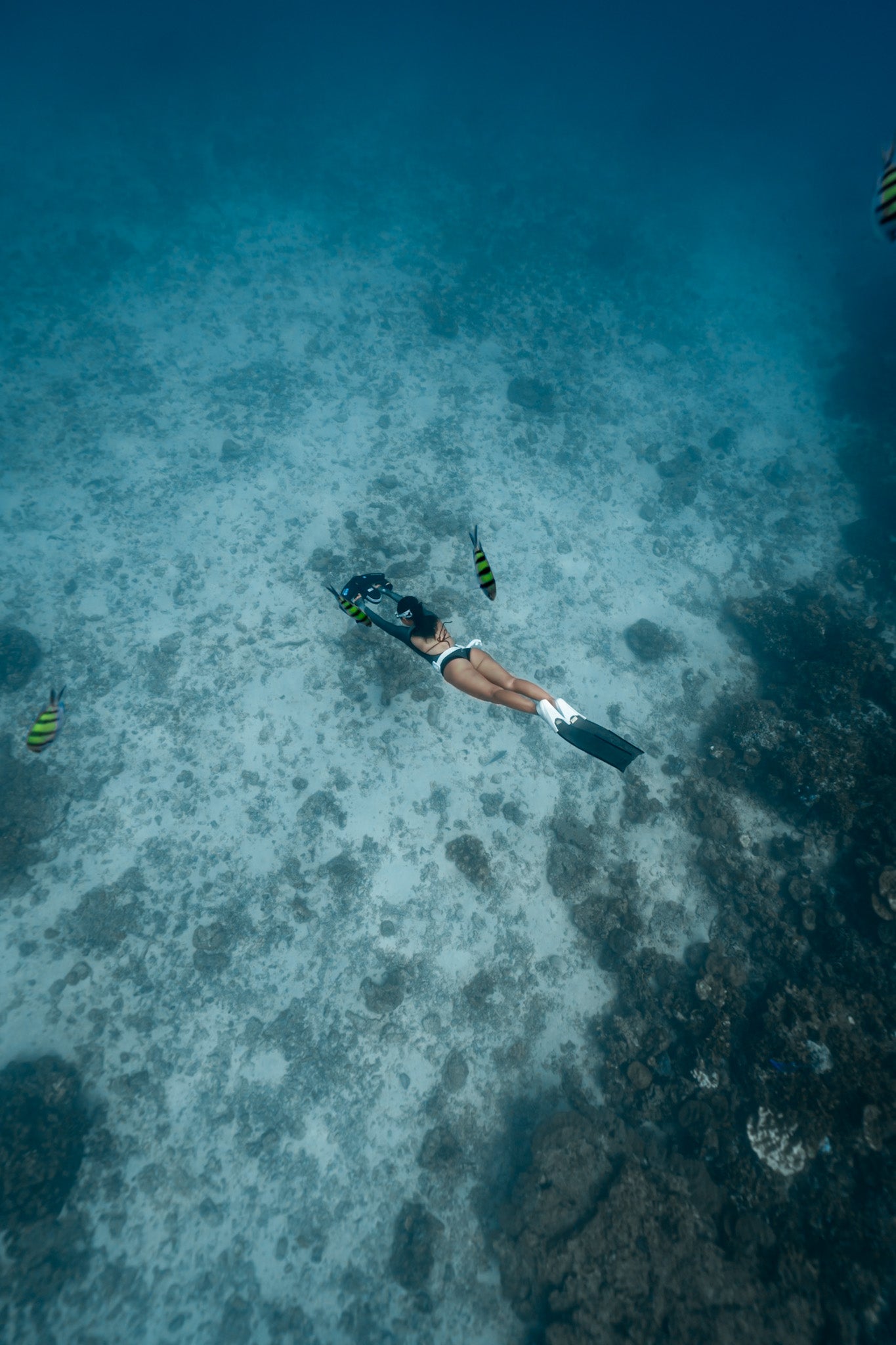 Navbow Underwater Scooter – Professional Dual-Motor Sea Scooter